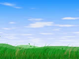 (ni)ɹˎƷW(wng)
